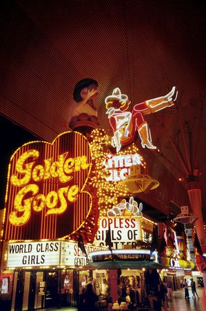 goldengoose3.jpg